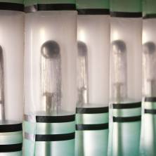 BS-Visite-7413.jpg_ALT