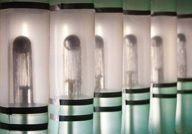 Bild: BS-Visite-7413