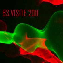 BS-Visite-2011.jpg_ALT