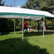 lighties2012-6642.jpg_ALT