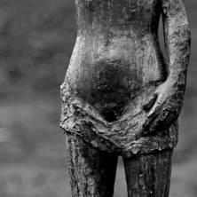 EOS_5D-MK2-2882.jpg_ALT