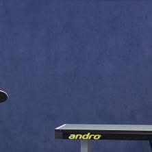 Tischtennis-Relegation_Bezirksliga-Nord-6818.jpg_ALT